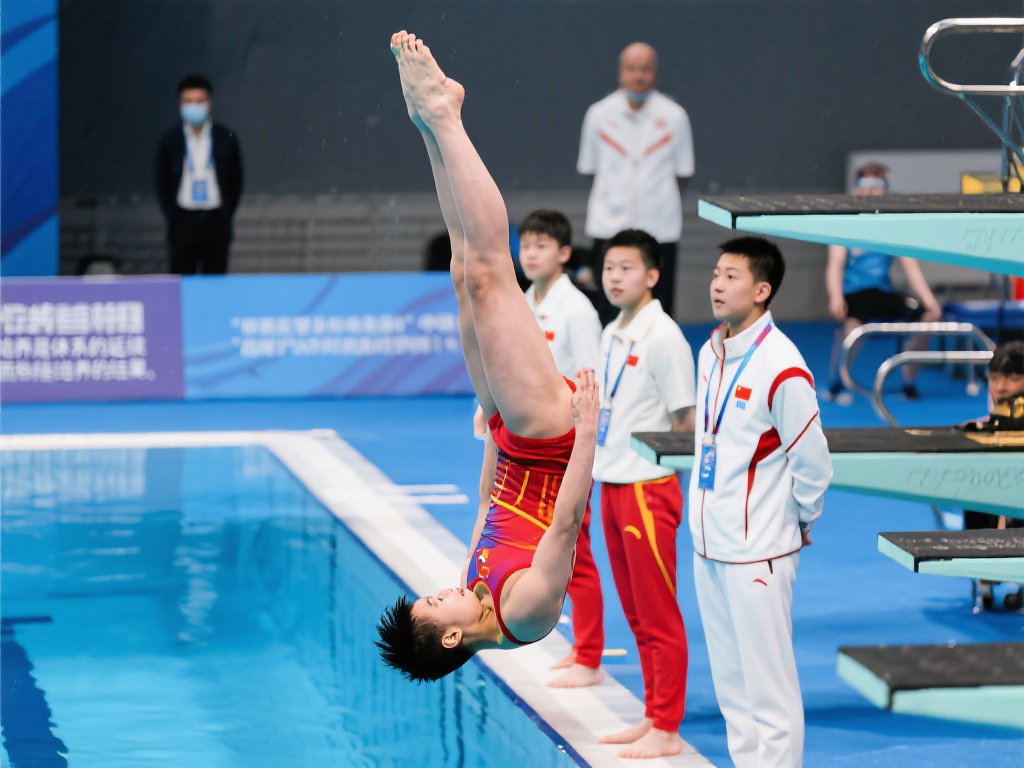 的竞技实力 的竞技实力